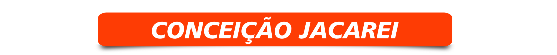 Renascer Transfer Tour - Transfer Rio de Janeiro (7).PNG