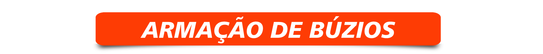 Renascer Transfer Tour - Transfer Rio de Janeiro (6).PNG